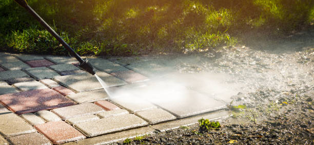 Best Soft Washing  in Hattiesburg, MS